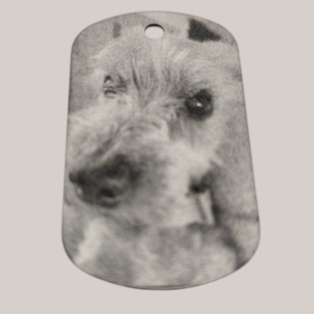 🐾 Custom Engraved Pet ID Tag | Personalised Keyring Charm