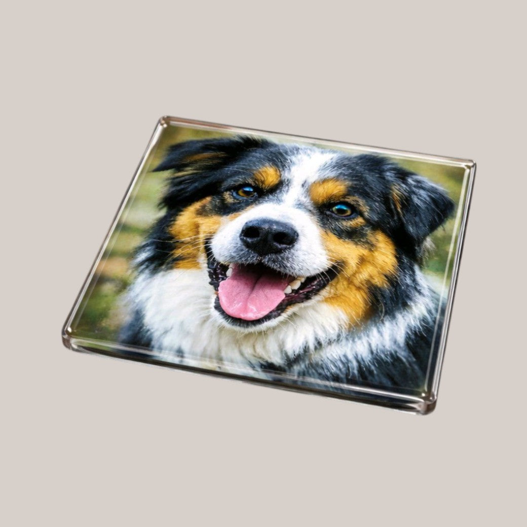 Personalised glass coaster with dog photo — Clear glass coaster engraved or printed with a customer’s dog photo.